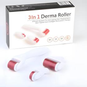 Rouleau Derma 3 en 1 Aiguilles en alliage inoxydable Avec 3 têtes